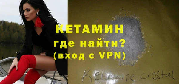 индика Вяземский