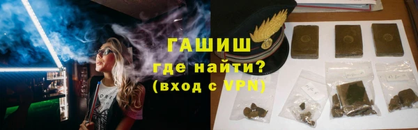 индика Вяземский