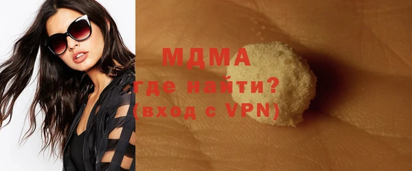 индика Вяземский