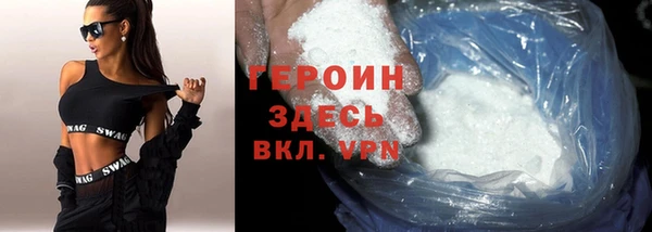 индика Вяземский
