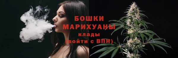 индика Вяземский