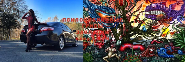 индика Вяземский