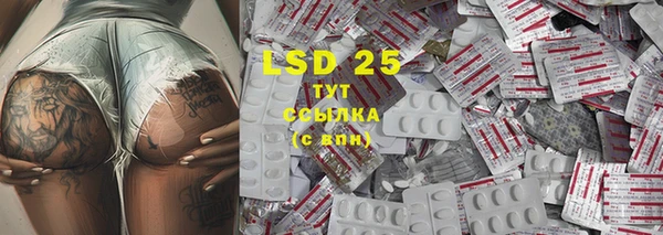 индика Вяземский