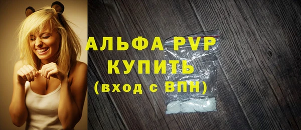 индика Вяземский