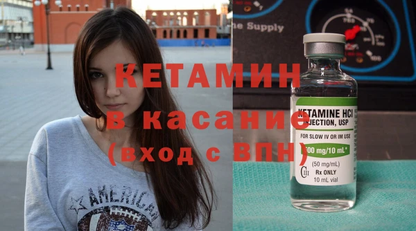 индика Вяземский