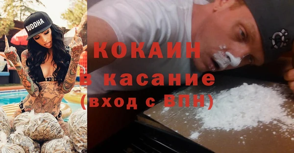 индика Вяземский