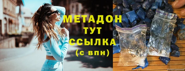 индика Вяземский