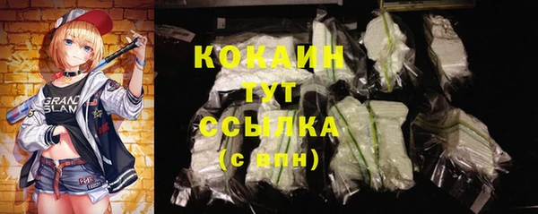 индика Вяземский