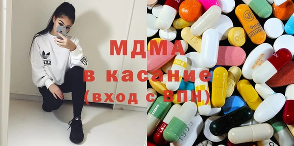 индика Вяземский